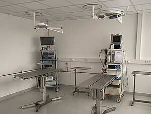 Bereich für Operationen in der Tierarztpraxis in Hannover